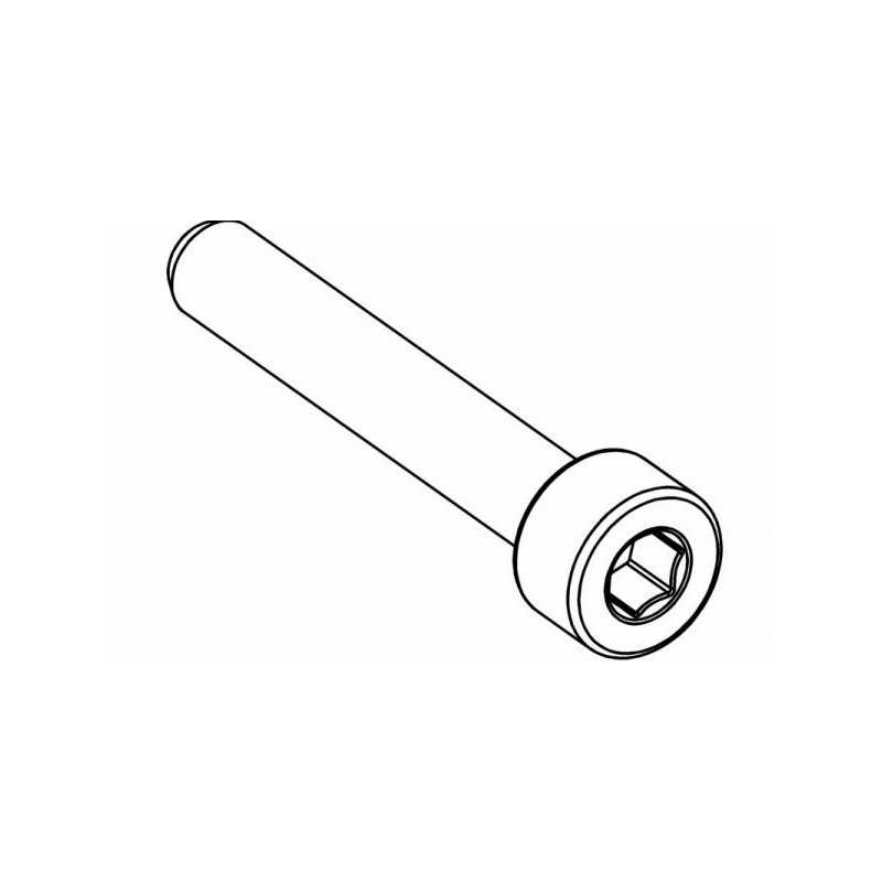 CH Hex Screw M4x25mm