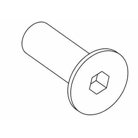 CS Hex Screw M4x10mm