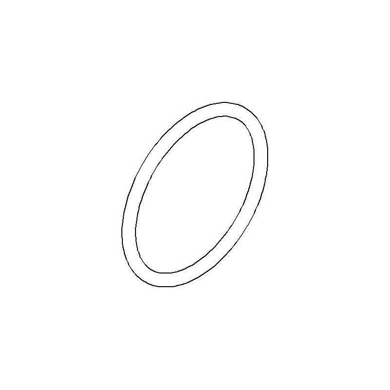 Shock Preload Wheel O-Ring 1.5x19