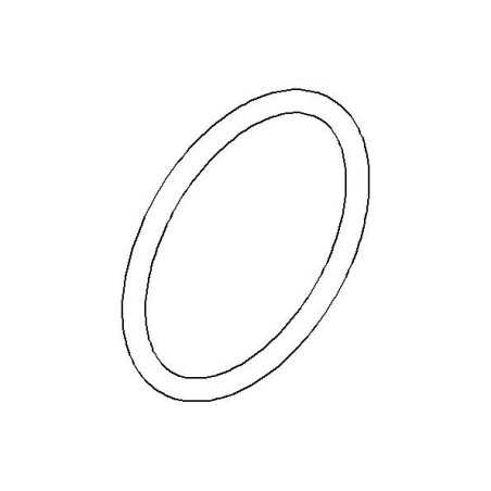 Shock Preload Wheel O-Ring 1.5x19