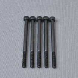 CH Hex Screw M5x70mm