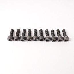 CH Hex Screw M3x8mm