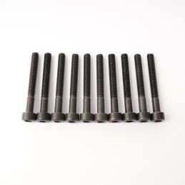 CH Hex Screw M3x25mm