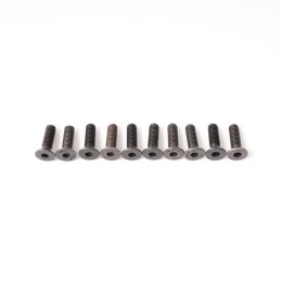 CS Hex Screw M3x10mm