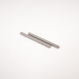GT Rear Lower Hub-Wishbone Hinge Pin