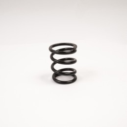 GT Servo Saver Spring